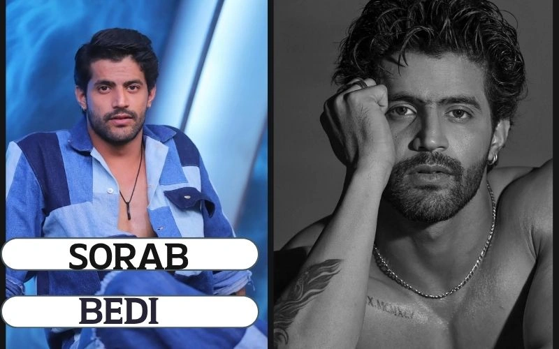 TV Shows With Sorab Bedi: 5 Incredible Roles That Made Him a Star TV Shows With Sorab Bedi